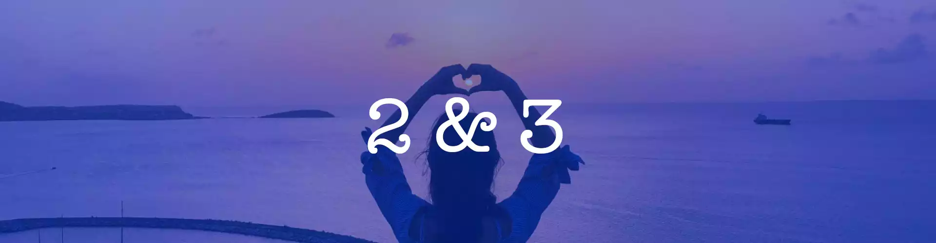 Bundle: アカシックレコード認定コース 2級・3級継続コースパッケージ（中国語通訳付き） - Online Course by Learn It Live